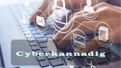 cyberkannadig whatsapp